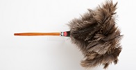 ostrich feather duster